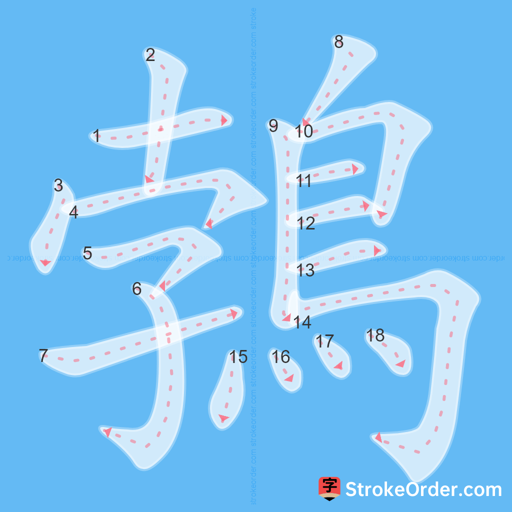 Standard stroke order for the Chinese character 鵓