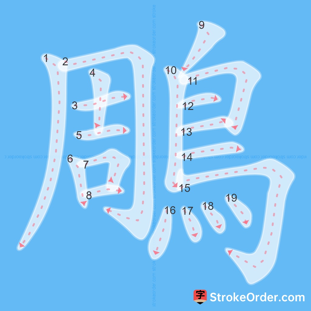Standard stroke order for the Chinese character 鵰