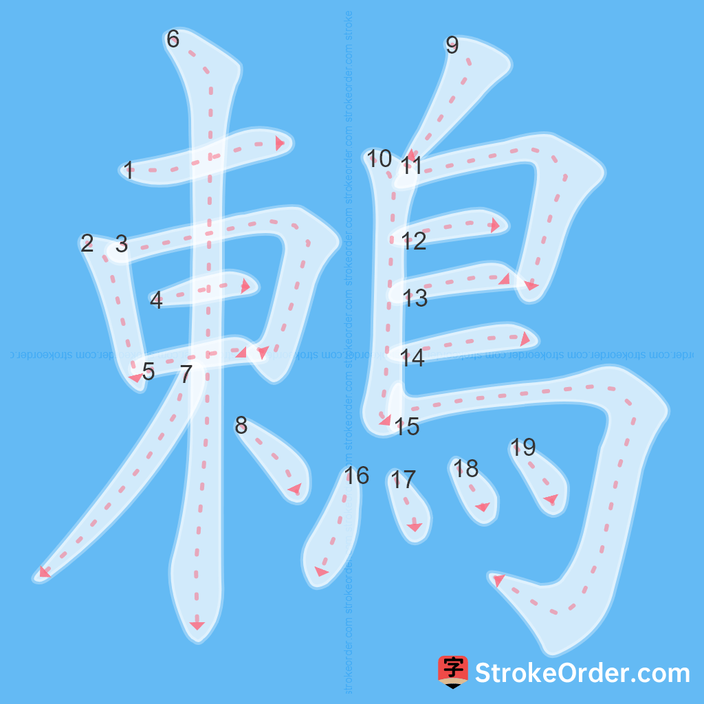 Standard stroke order for the Chinese character 鶇