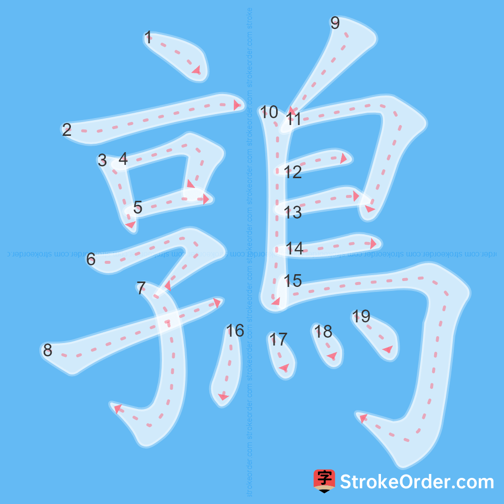 Standard stroke order for the Chinese character 鶉