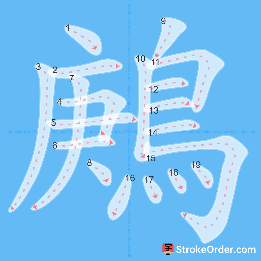 Standard stroke order for the Chinese character 鶊