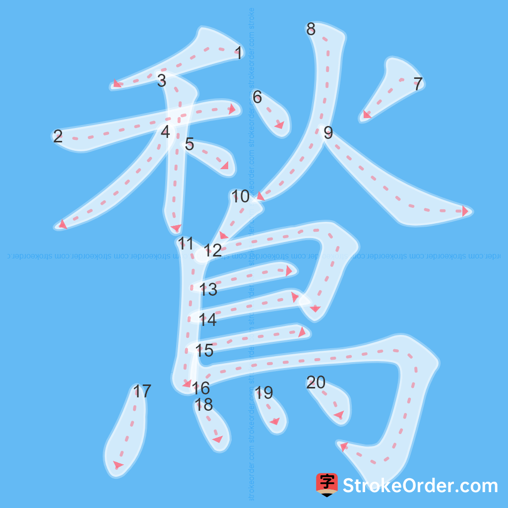 Standard stroke order for the Chinese character 鶖