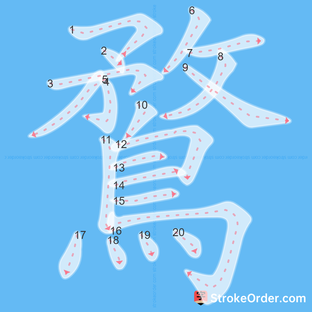 Standard stroke order for the Chinese character 鶩