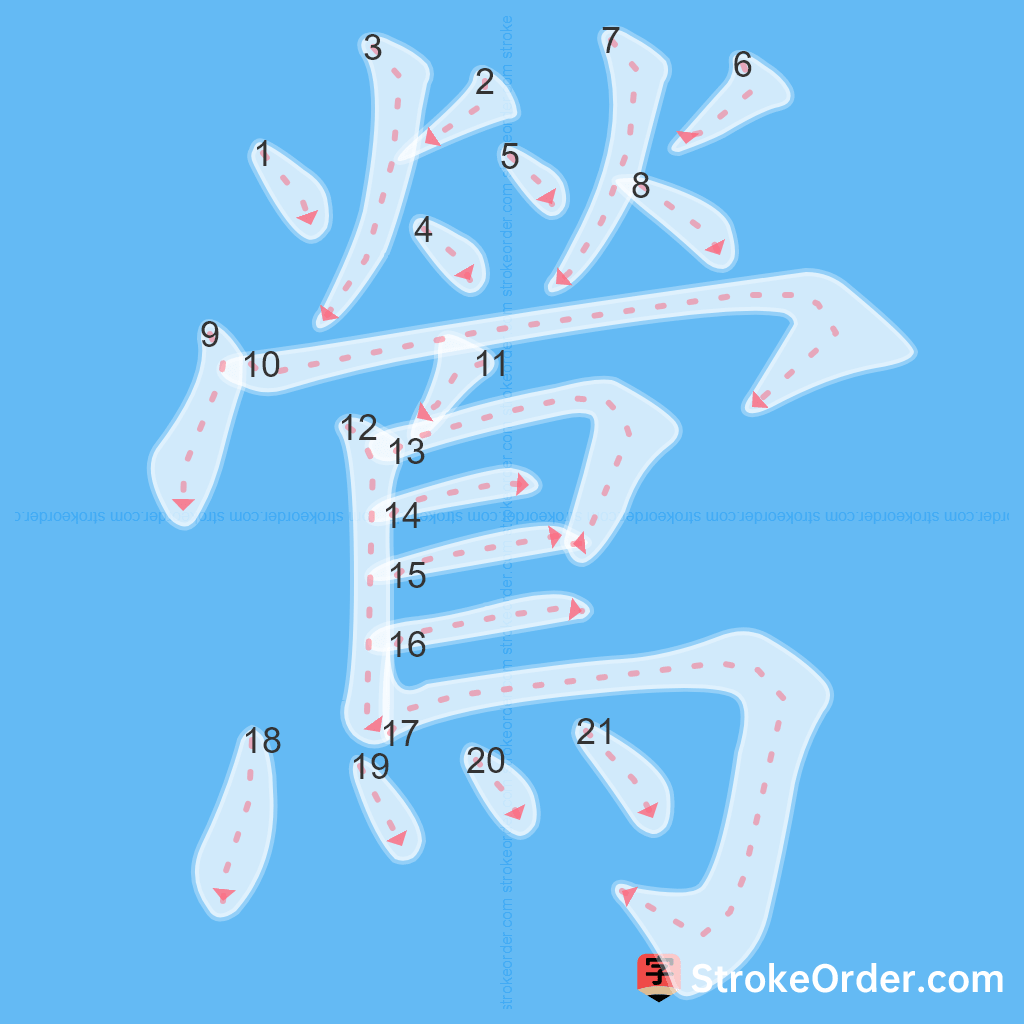 Standard stroke order for the Chinese character 鶯