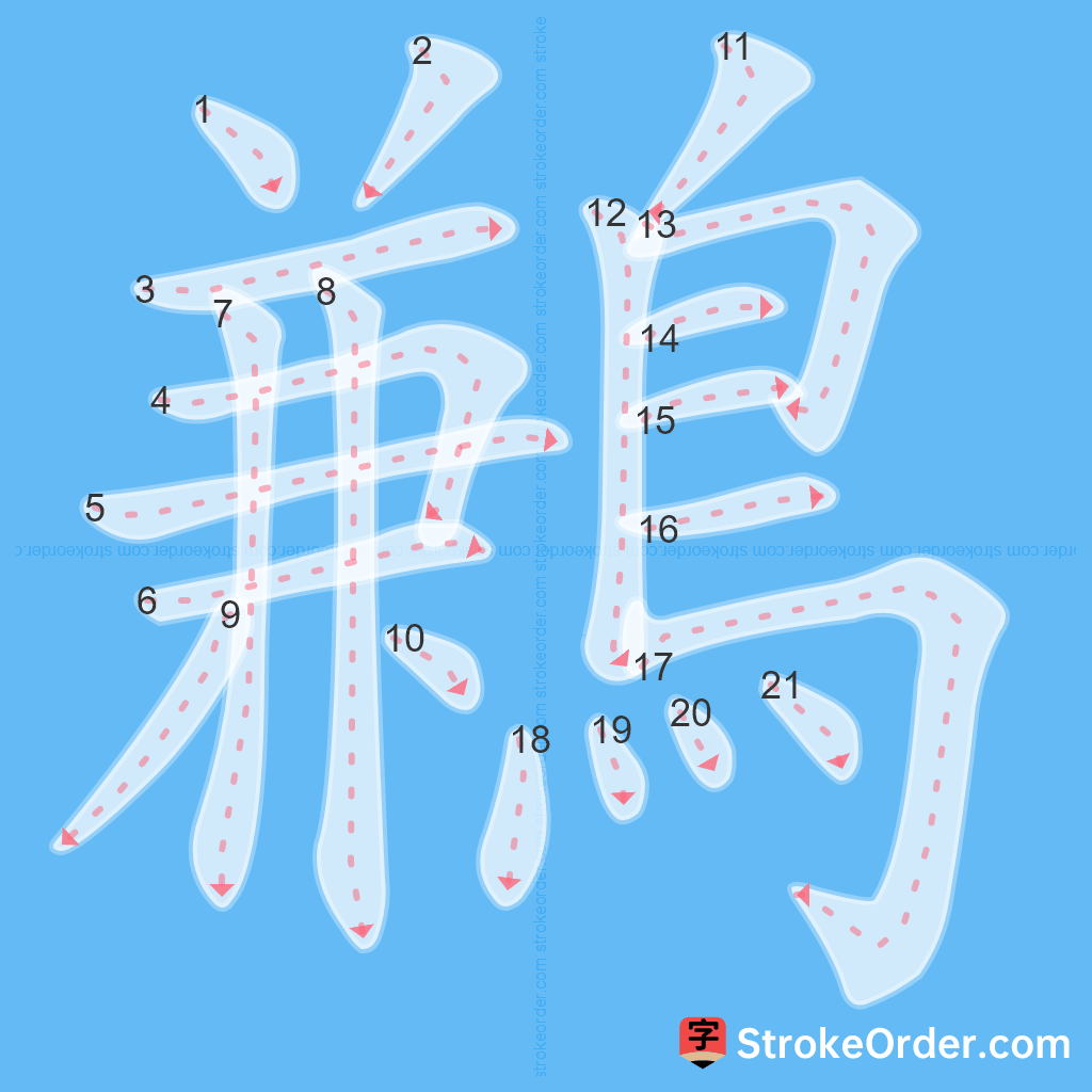 Standard stroke order for the Chinese character 鶼