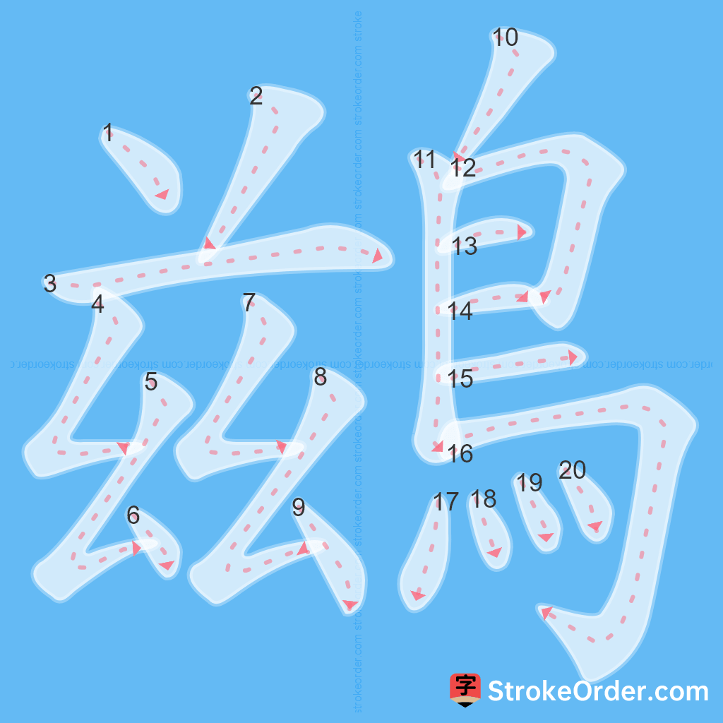 Standard stroke order for the Chinese character 鷀