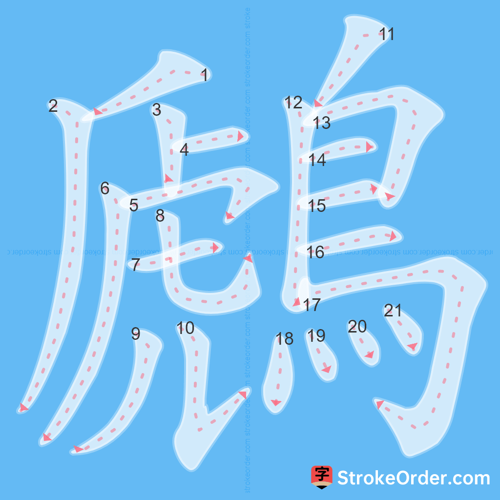 Standard stroke order for the Chinese character 鷉