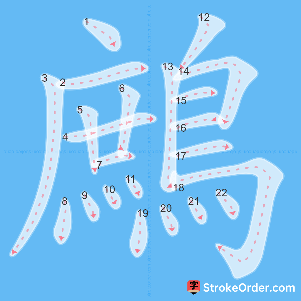 Standard stroke order for the Chinese character 鷓