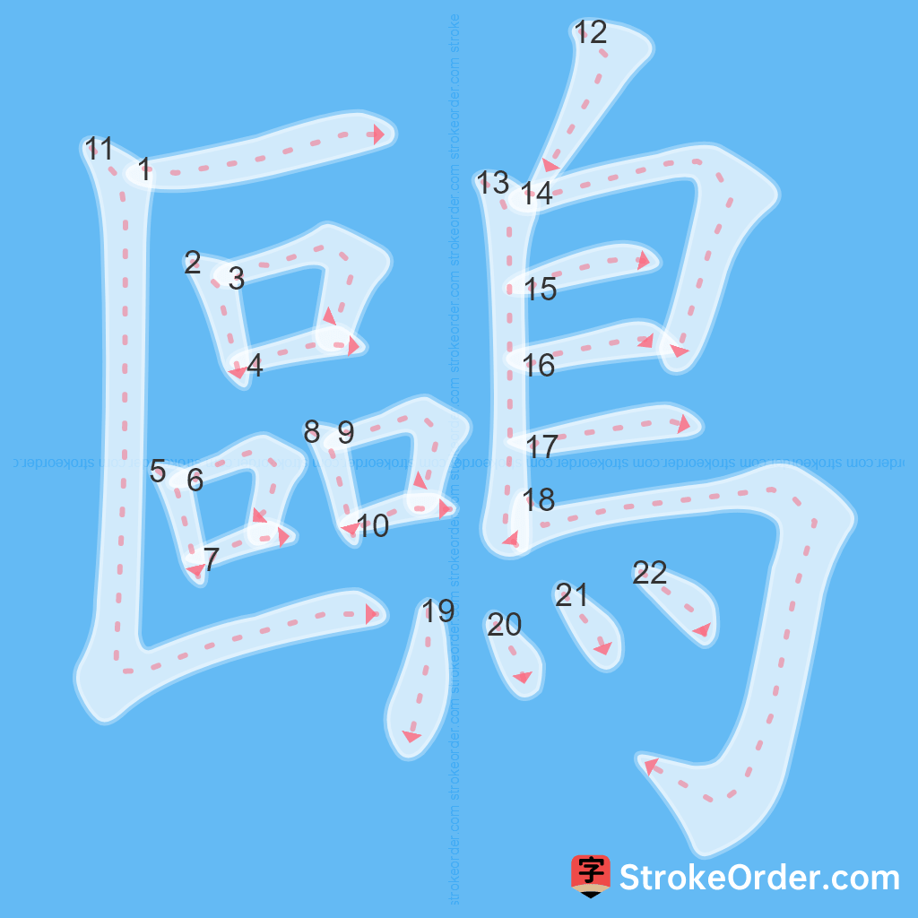 Standard stroke order for the Chinese character 鷗