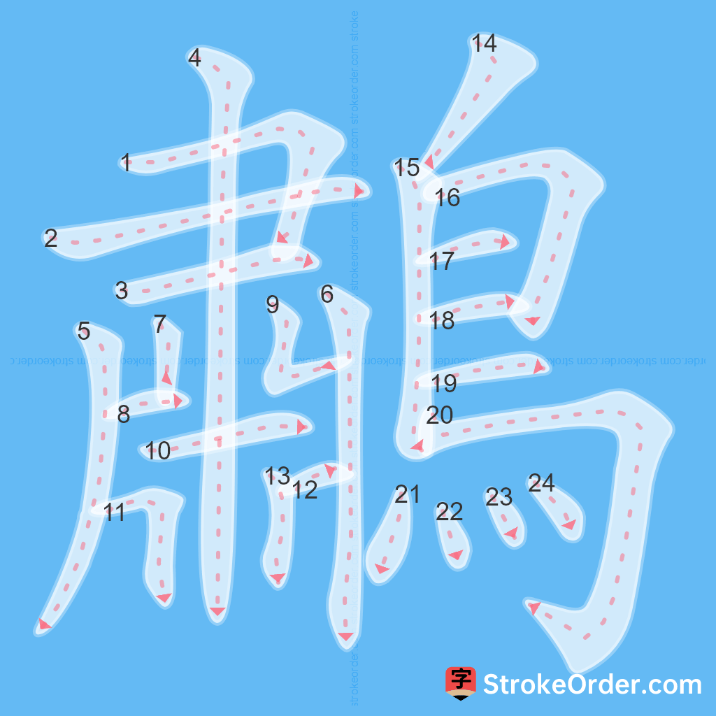 Standard stroke order for the Chinese character 鷫