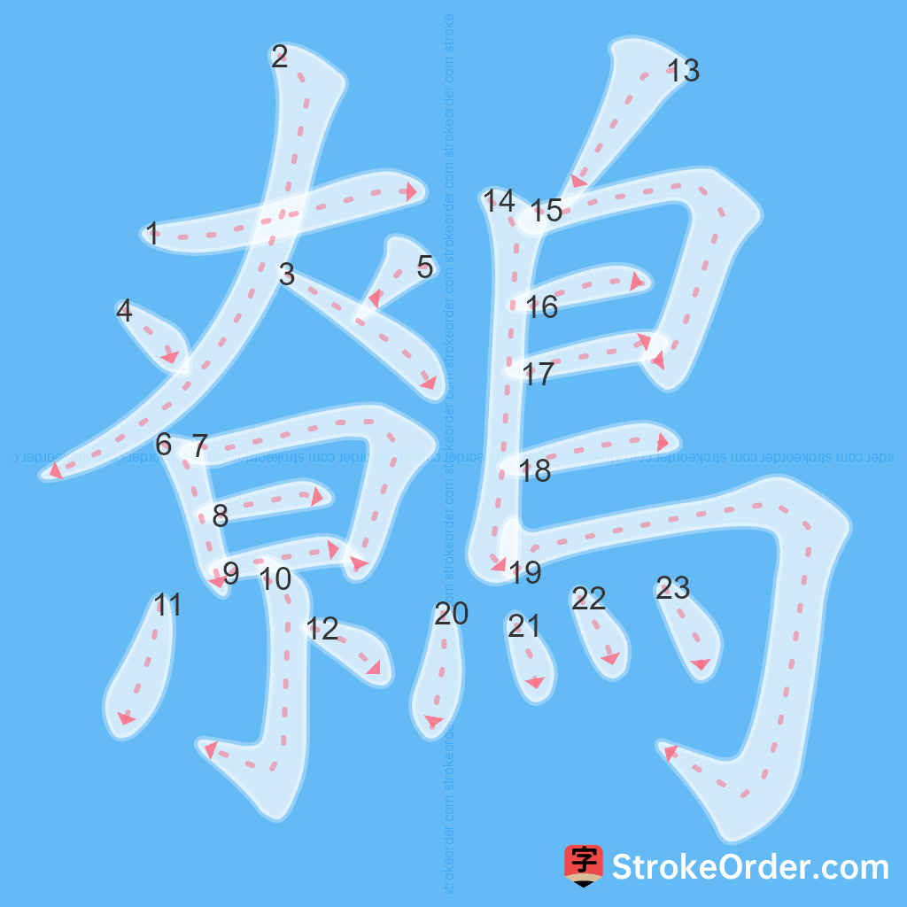 Standard stroke order for the Chinese character 鷯