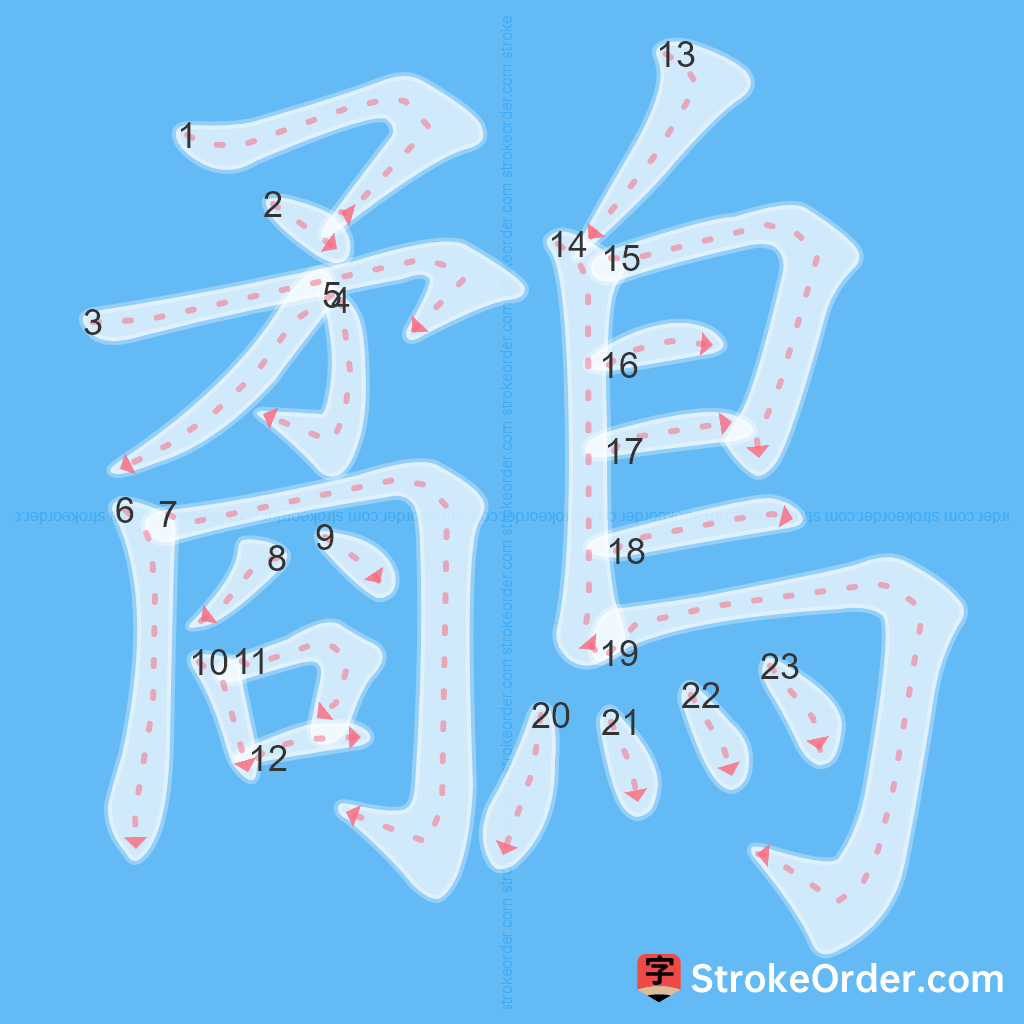 Standard stroke order for the Chinese character 鷸