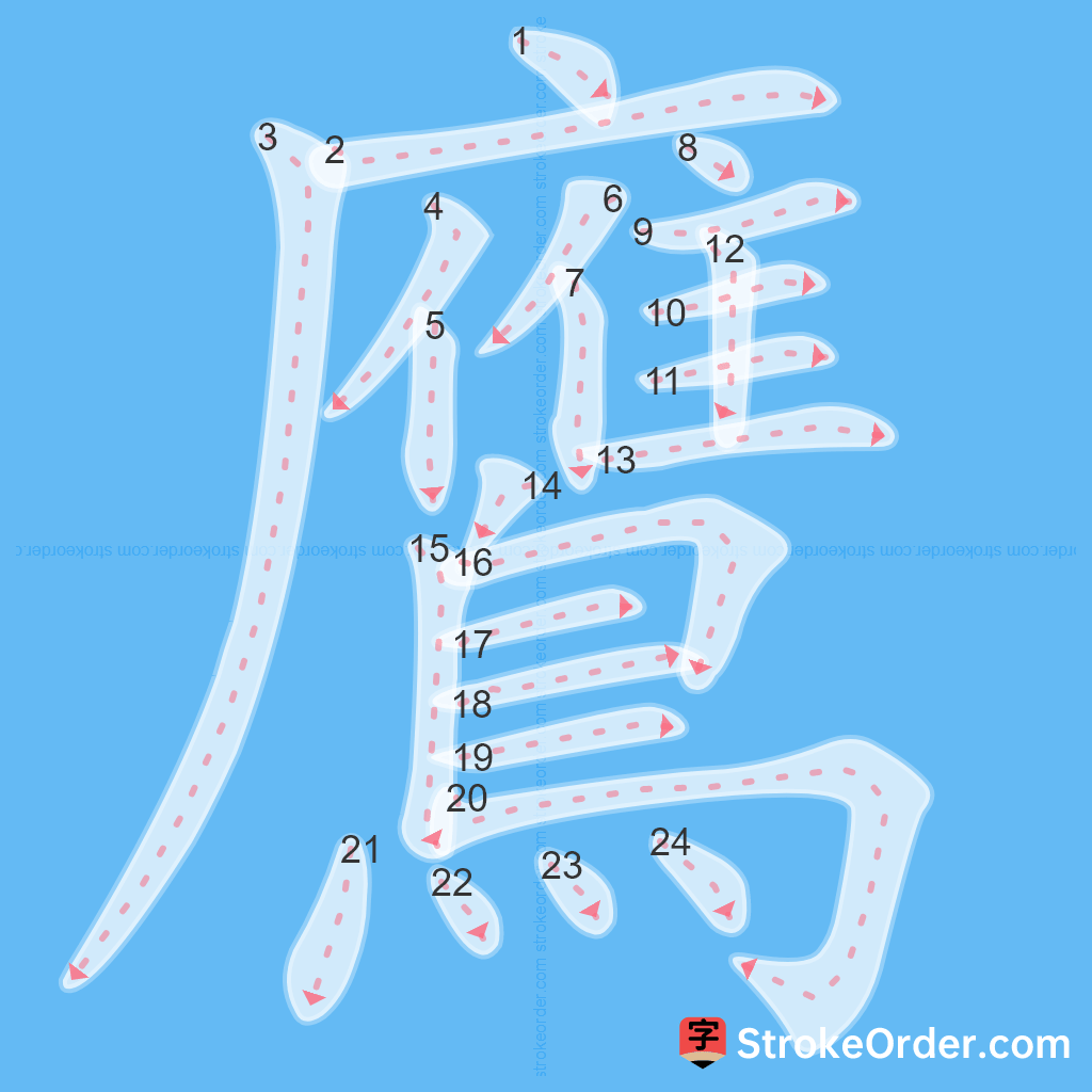 Standard stroke order for the Chinese character 鷹