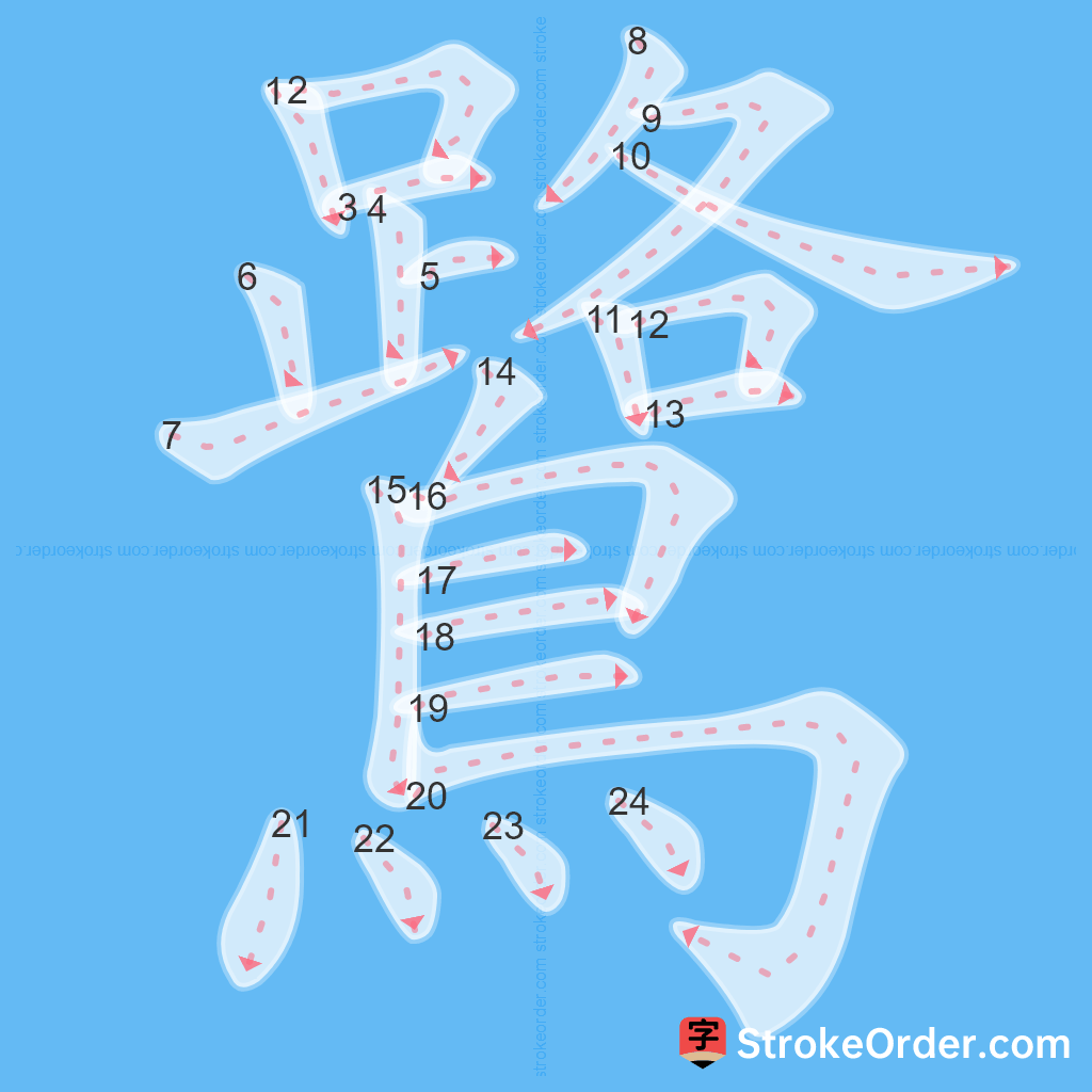 Standard stroke order for the Chinese character 鷺