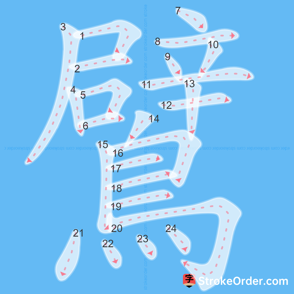 Standard stroke order for the Chinese character 鷿