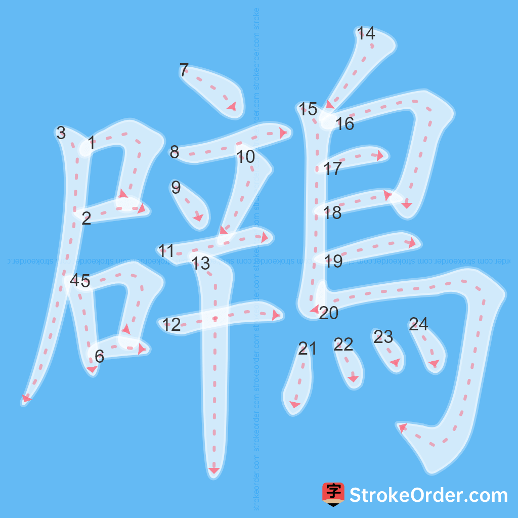 Standard stroke order for the Chinese character 鸊