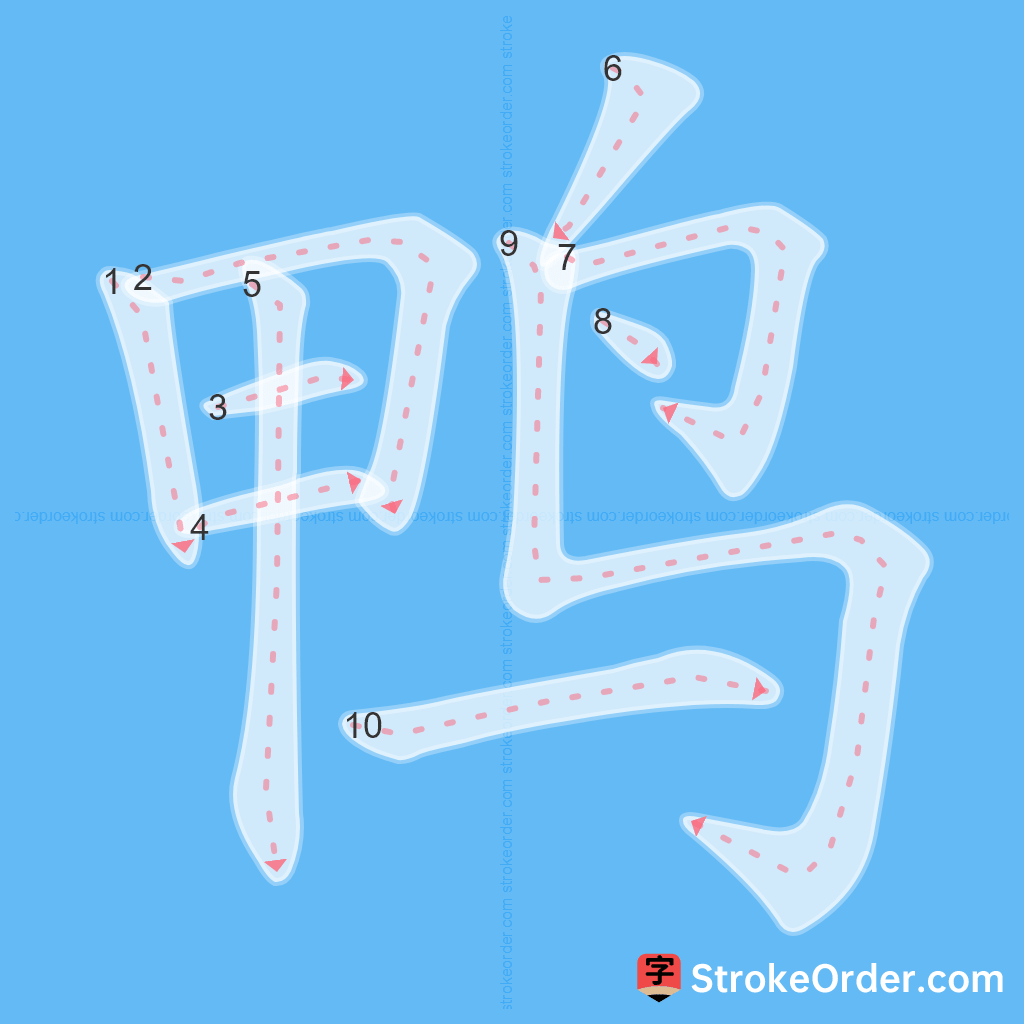 Standard stroke order for the Chinese character 鸭