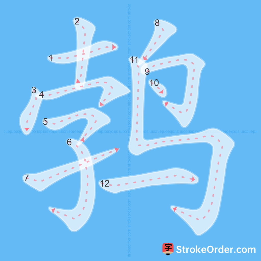 Standard stroke order for the Chinese character 鹁