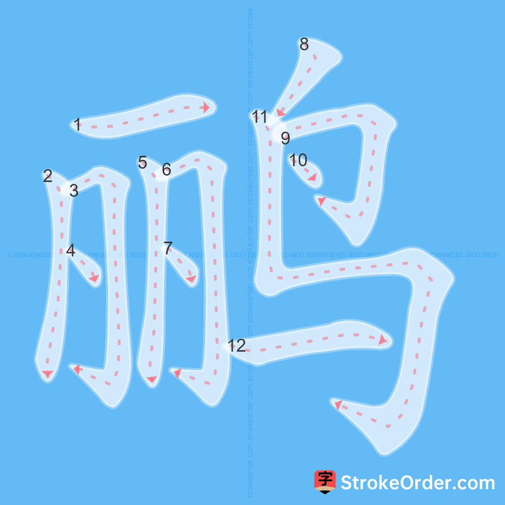 Standard stroke order for the Chinese character 鹂