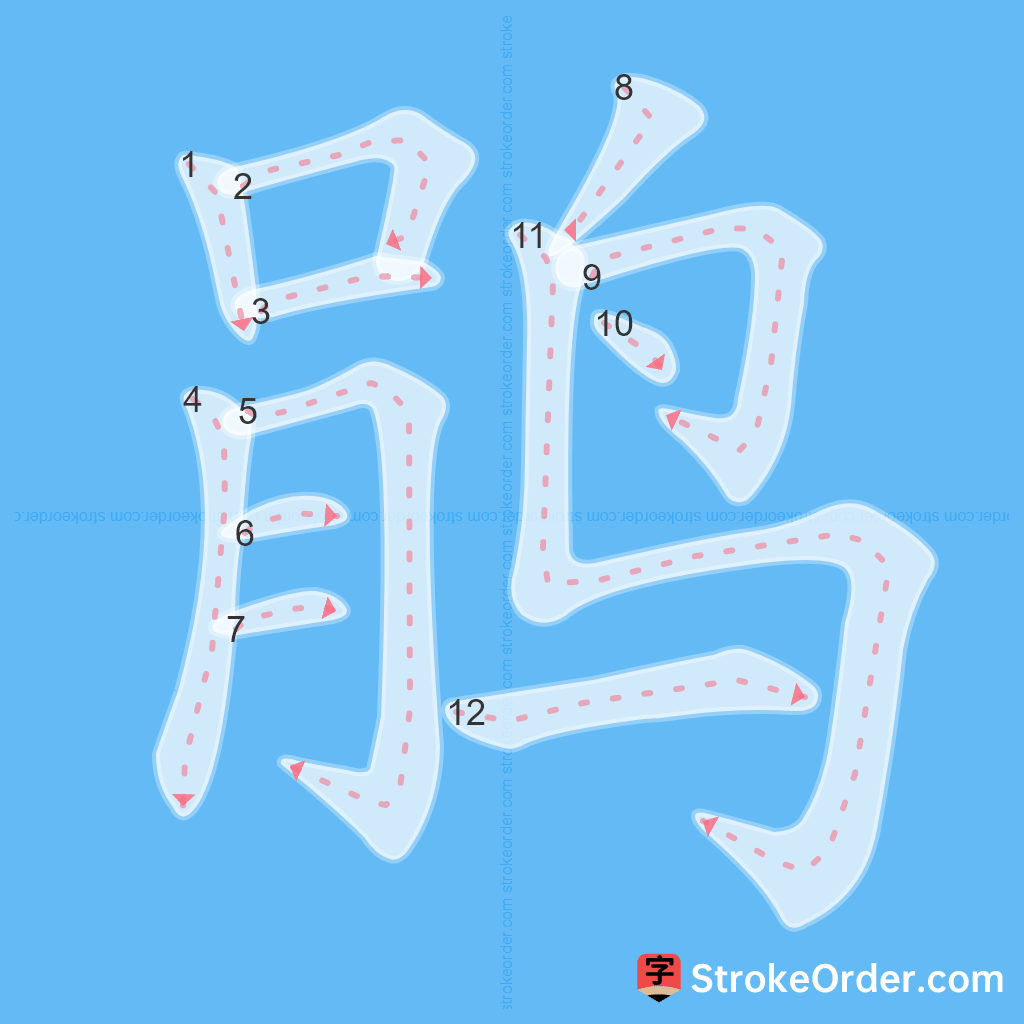 Standard stroke order for the Chinese character 鹃