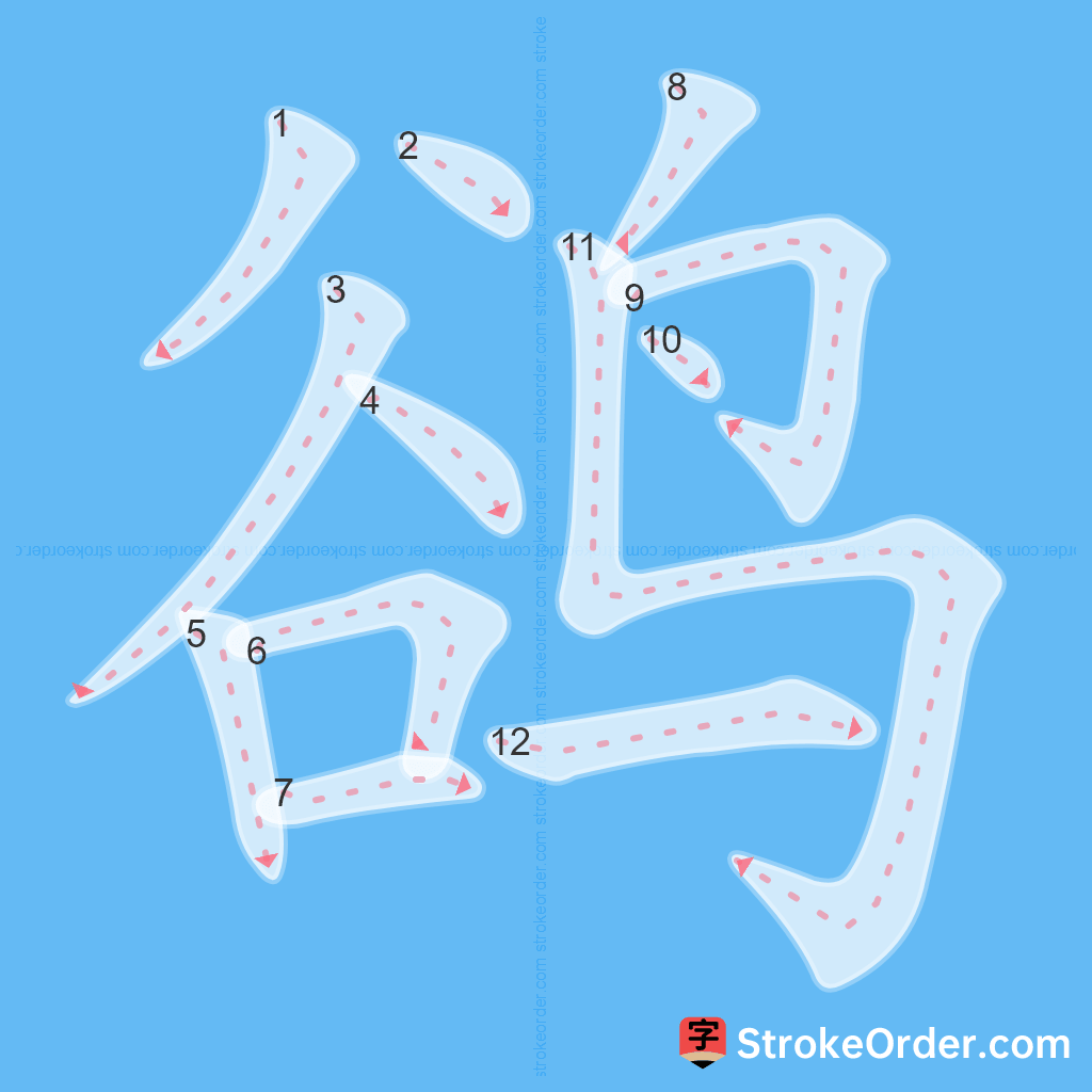 Standard stroke order for the Chinese character 鹆