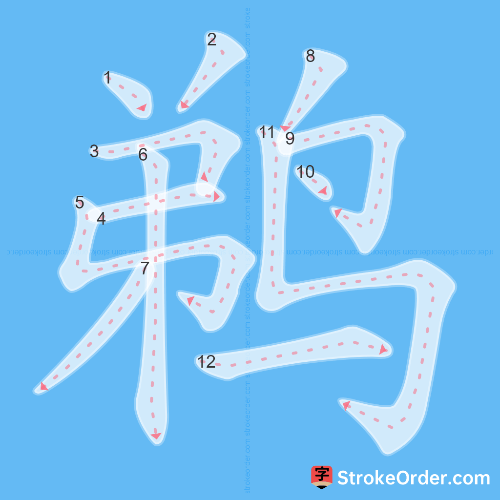 Standard stroke order for the Chinese character 鹈
