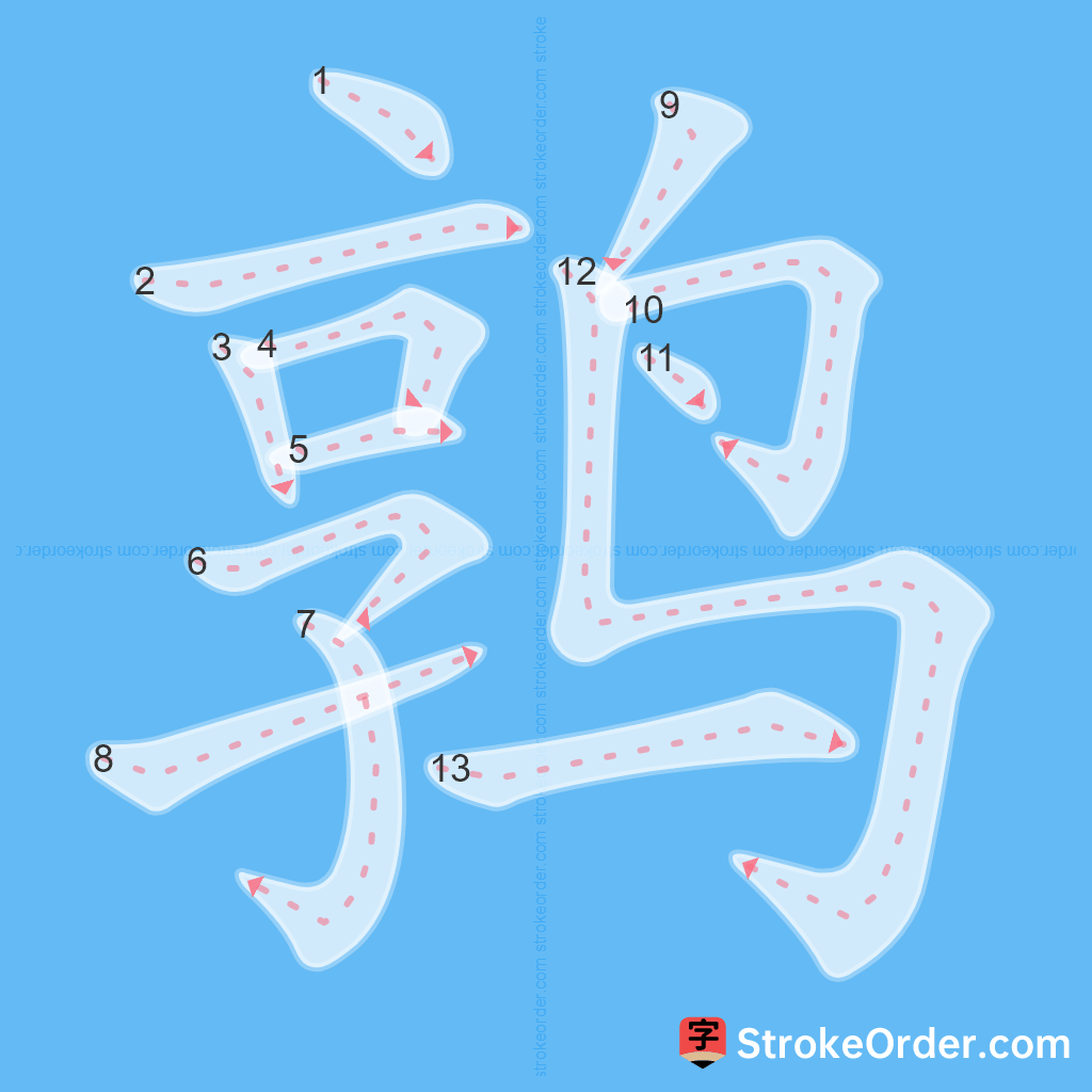 Standard stroke order for the Chinese character 鹑