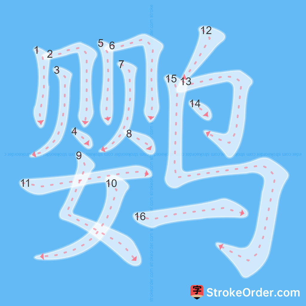 Standard stroke order for the Chinese character 鹦