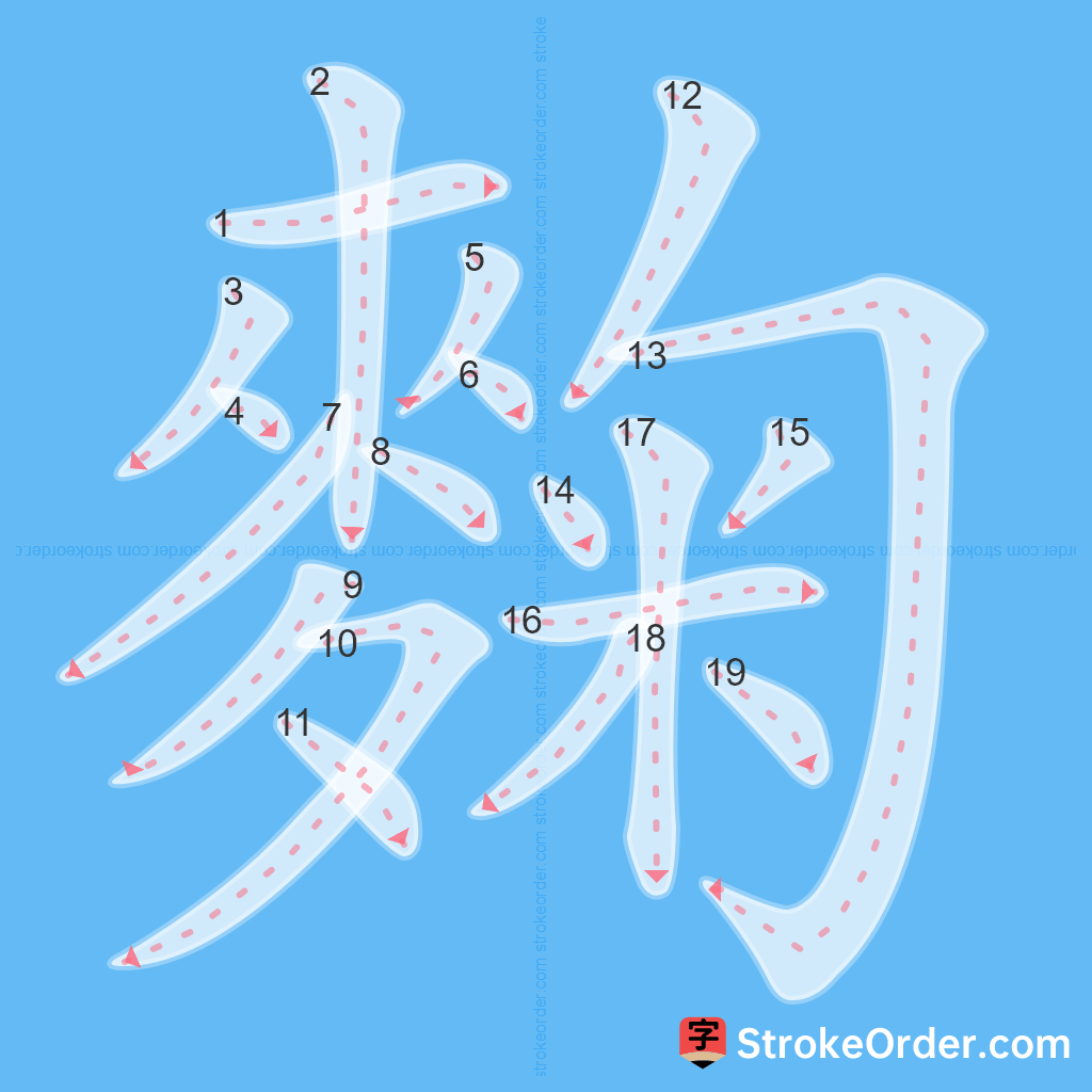 Standard stroke order for the Chinese character 麴