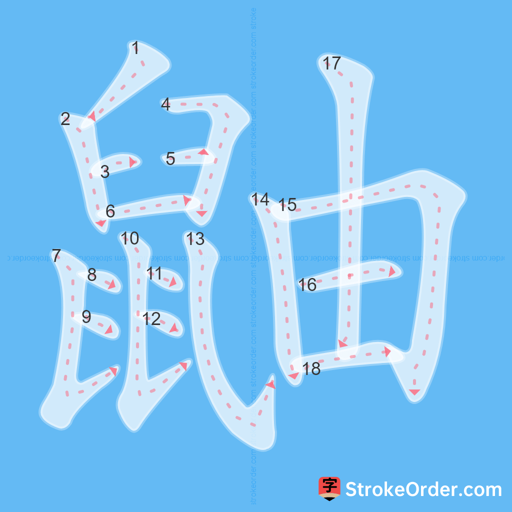 Standard stroke order for the Chinese character 鼬