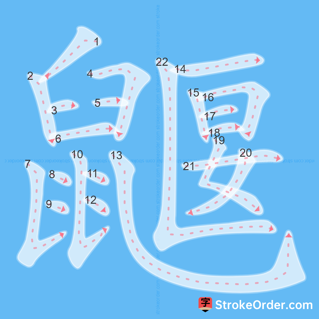 Standard stroke order for the Chinese character 鼴