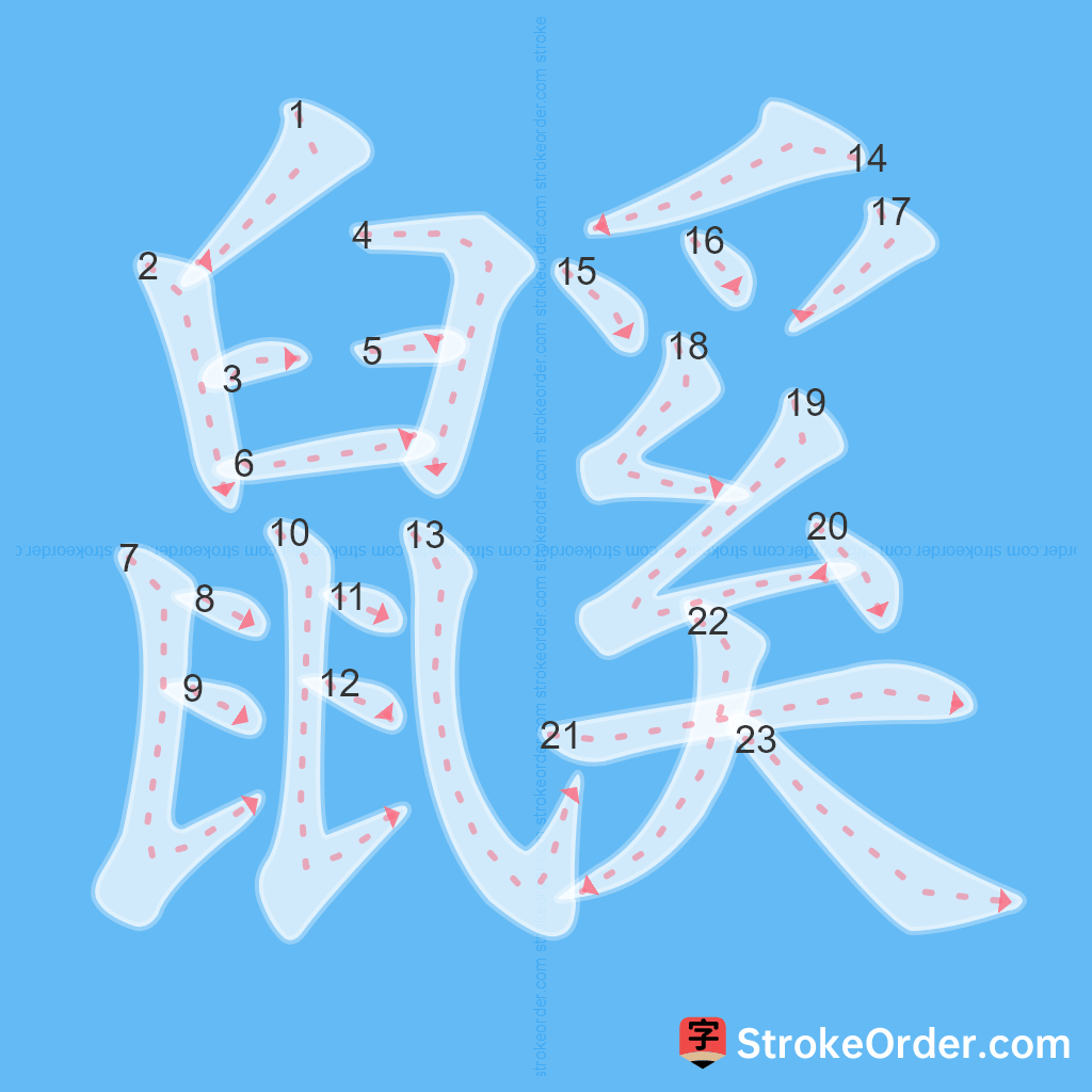 Standard stroke order for the Chinese character 鼷