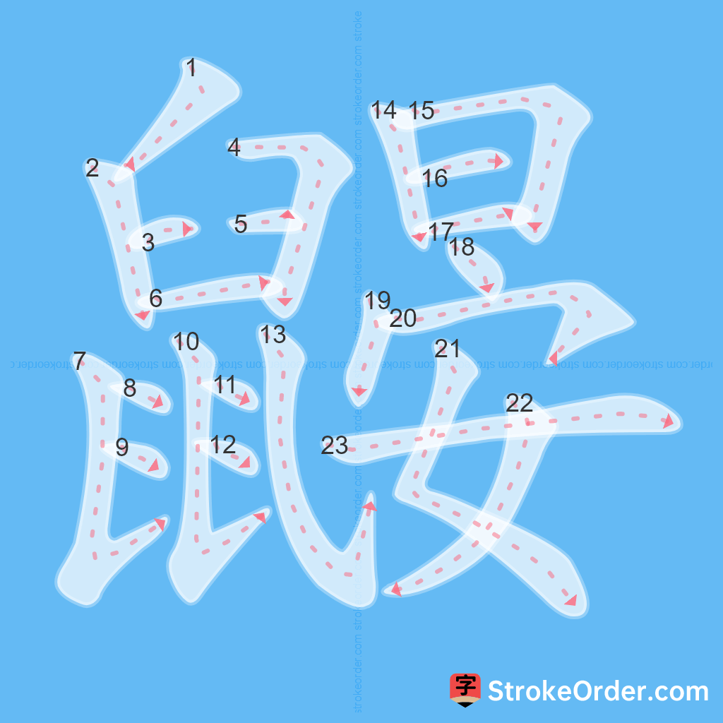 Standard stroke order for the Chinese character 鼹