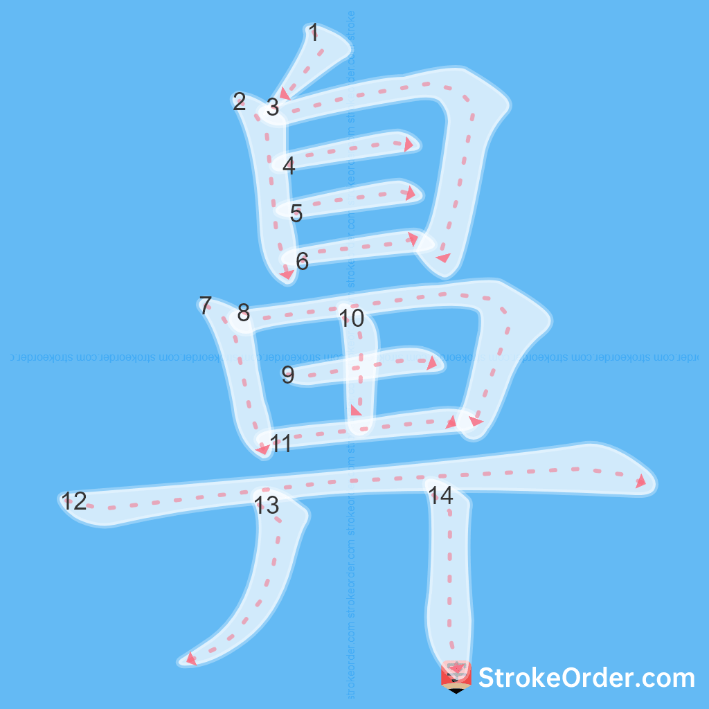 Standard stroke order for the Chinese character 鼻