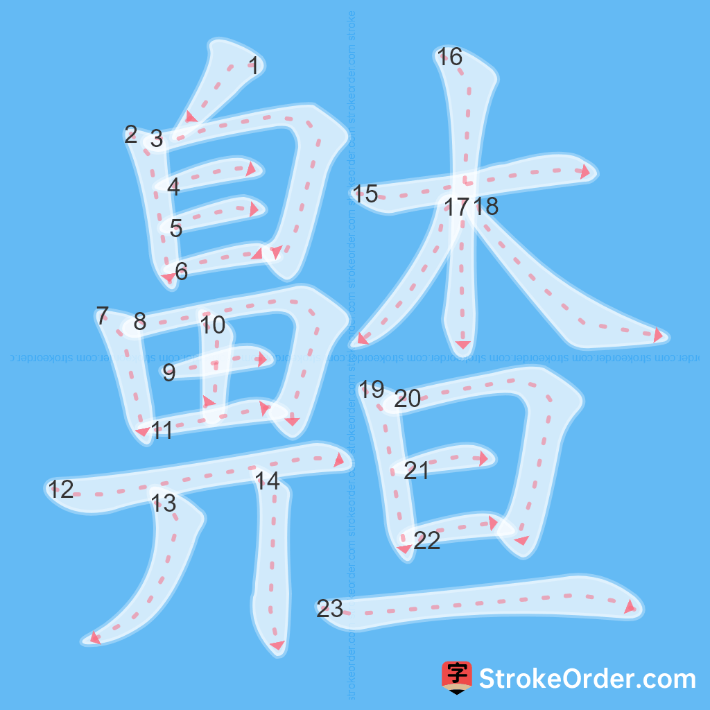Standard stroke order for the Chinese character 齄
