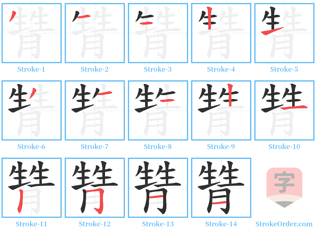 甧 Stroke Order Diagrams