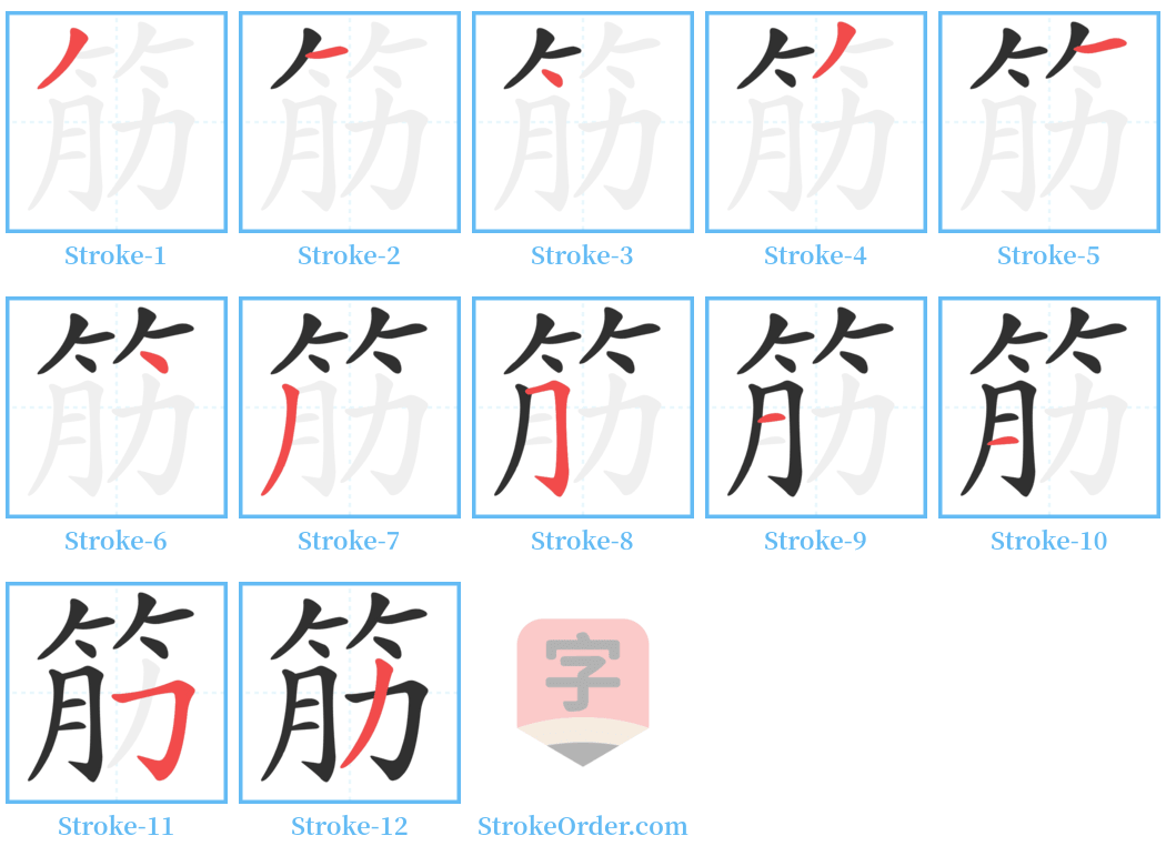 筋 Stroke Order Diagrams