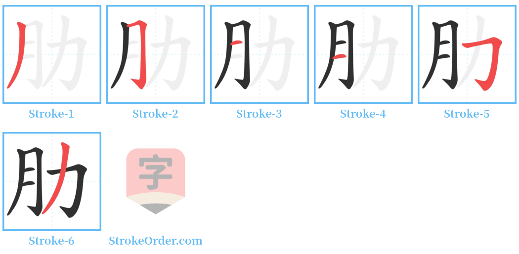 肋 Stroke Order Diagrams