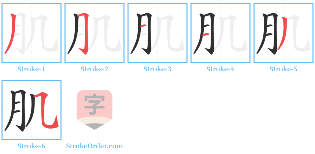 肌 Stroke Order Diagrams