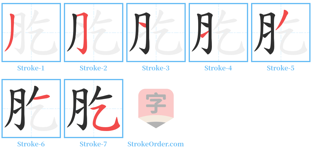 肐 Stroke Order Diagrams