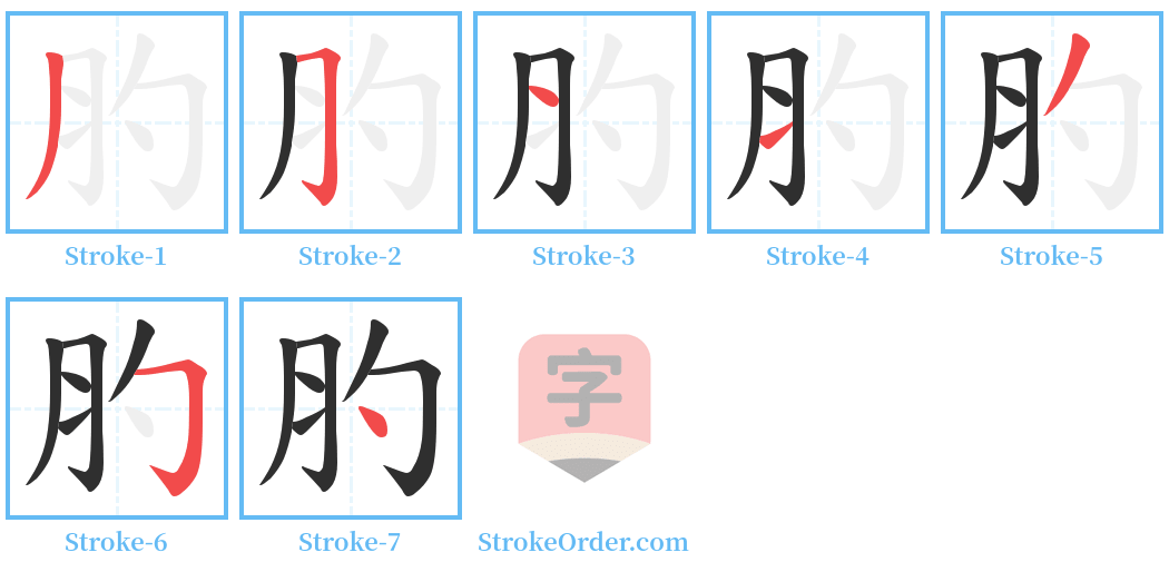 肑 Stroke Order Diagrams