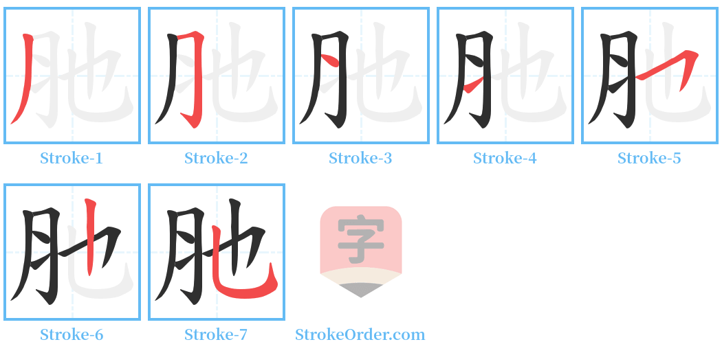 肔 Stroke Order Diagrams