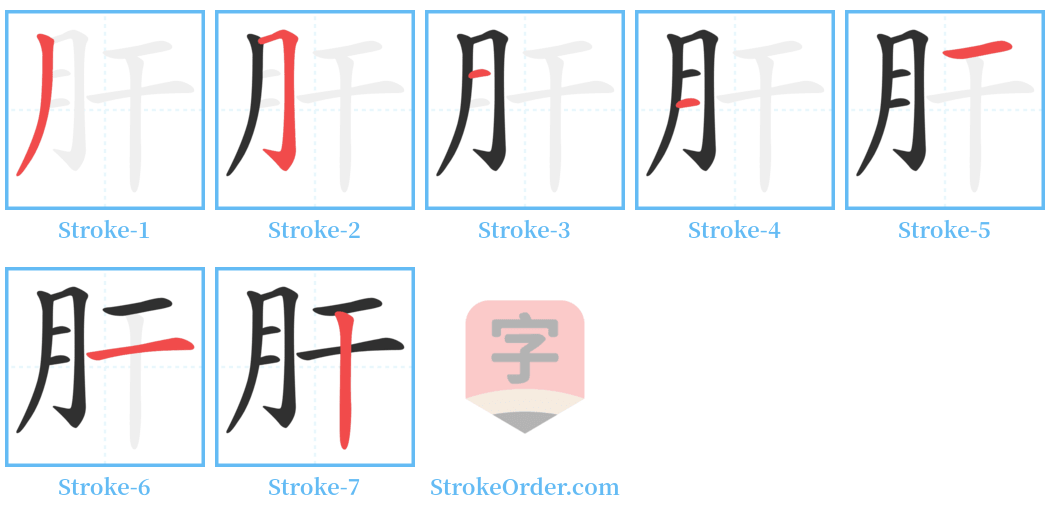 肝 Stroke Order Diagrams