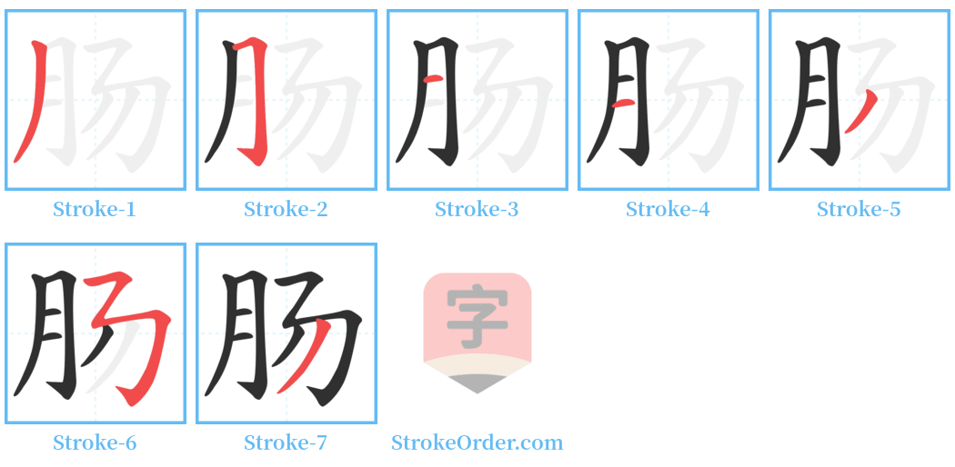 肠 Stroke Order Diagrams