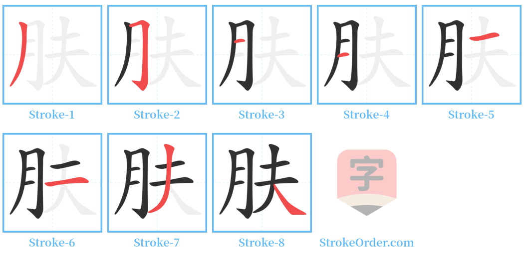 肤 Stroke Order Diagrams