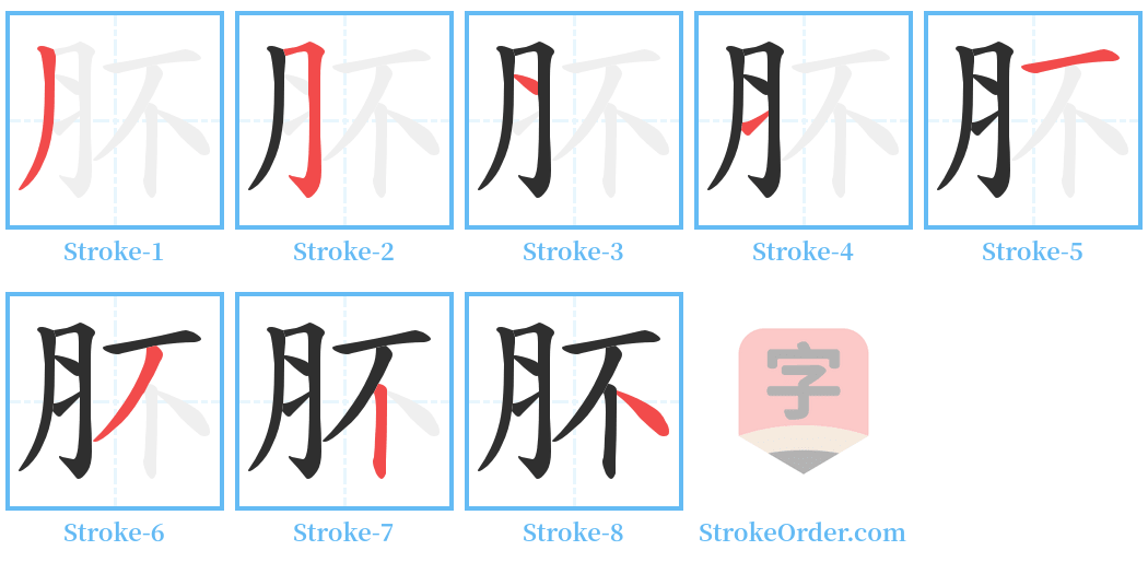 肧 Stroke Order Diagrams