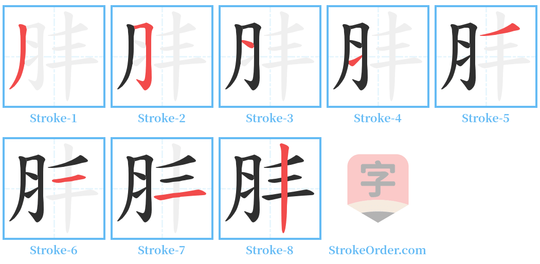 肨 Stroke Order Diagrams