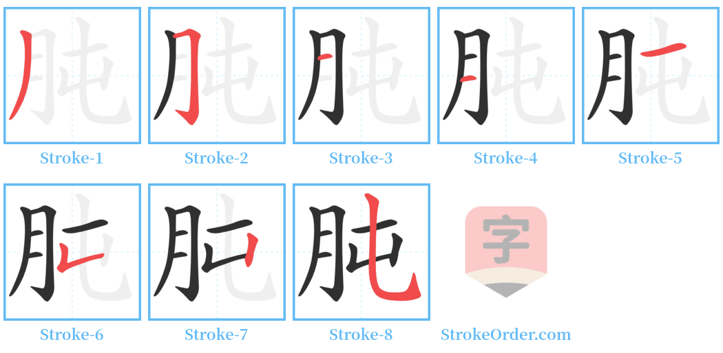 肫 Stroke Order Diagrams