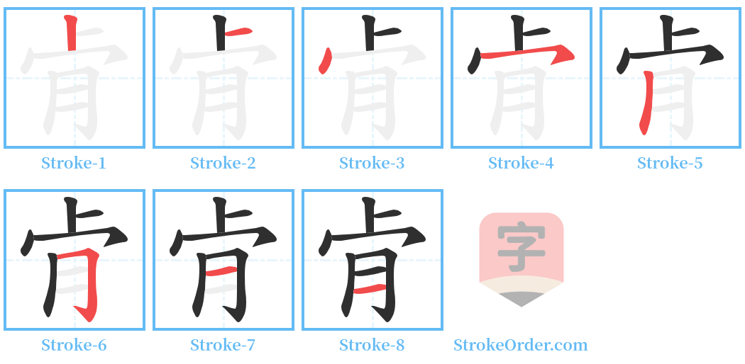 肻 Stroke Order Diagrams