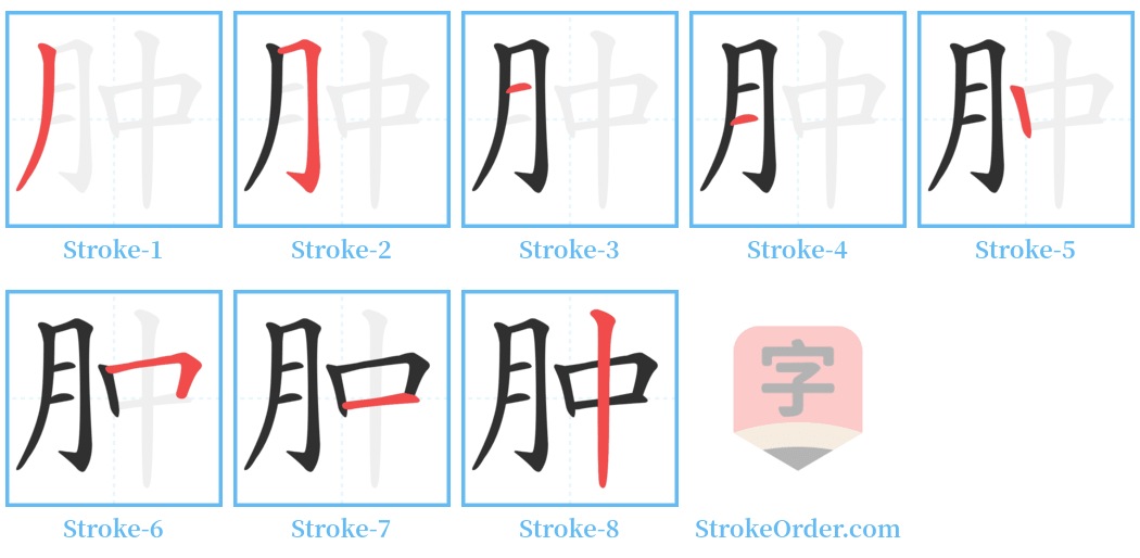 肿 Stroke Order Diagrams